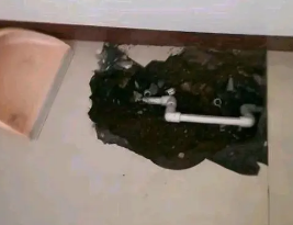 安新卫生间测漏水多少钱